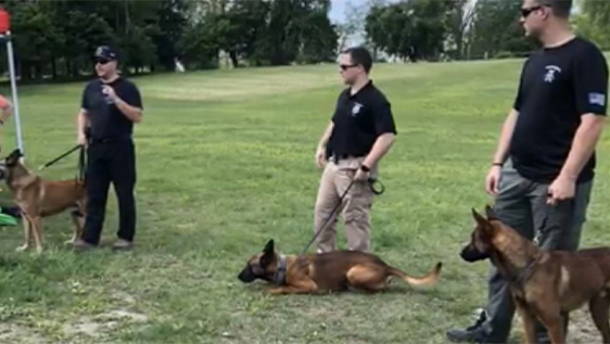 Three policemen with police dogs